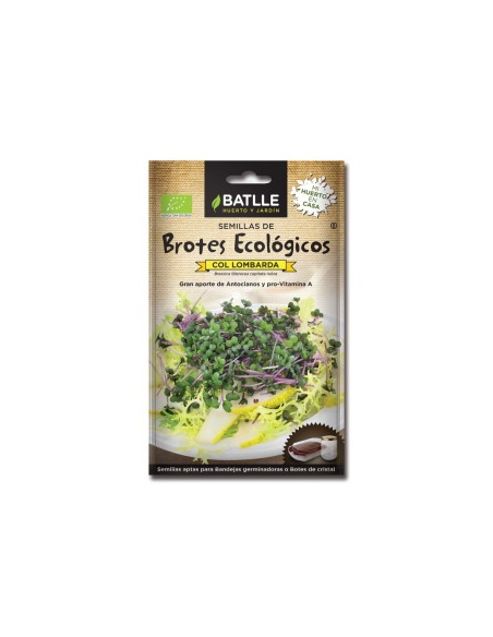 Brotes col lombarda para germinar, sobres de Batlle