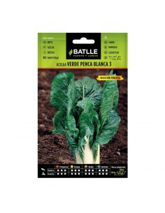 Semillas Acelga verde de penca ancha de Batlle