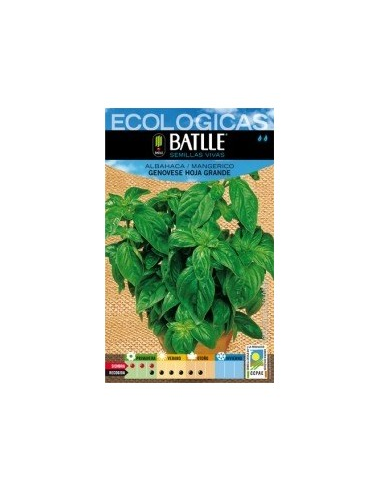 Semillas Albahaca Genovese hoja grande de Batlle