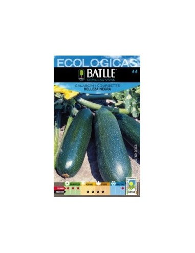 Semillas Calabacín Bellezza Negra Batlle | Calidad y Rendimiento