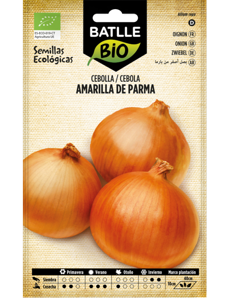 Semillas Cebolla Amarilla de Parma_PENC de Batlle