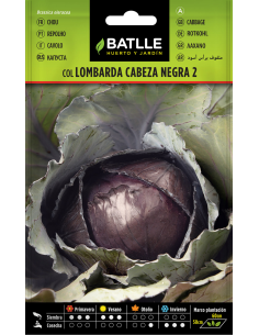 Semillas Col Lombarda cabeza negra_PENC de Batlle