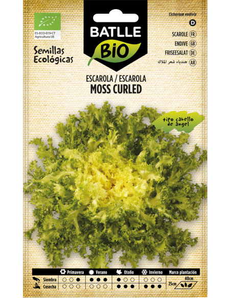 Semillas Escarola Cabello de Ángel - Moss Curled_PENC de Batlle