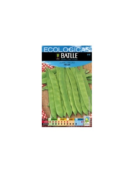 Semillas Judía Helda de Batlle  Calidad y Rendimiento Superior