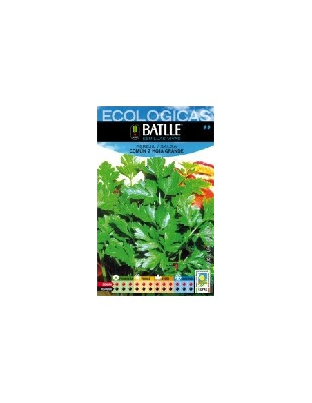 Semillas Perejil de Batlle
