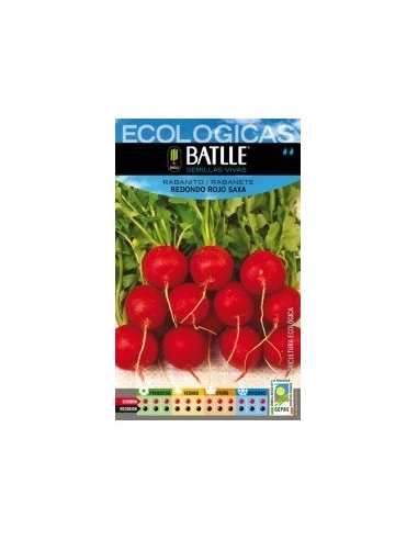 Semillas Rabanito redondo rojo Saxa de Batlle