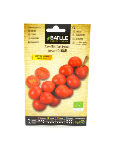 Semillas Tomate de colgar Domingo de Batlle