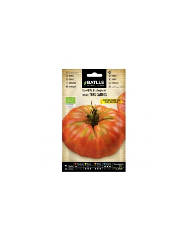 Semillas Tomate Tres Cantos de Batlle