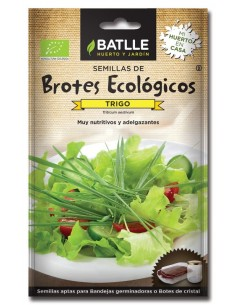 Brotes trigo para germinar, sobres de Batlle