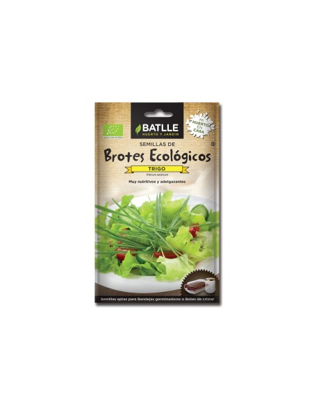 Brotes trigo para germinar, sobres de Batlle