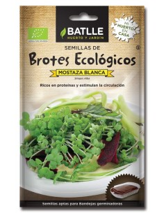 Brotes mostaza blanca para germinar, sobres de Batlle