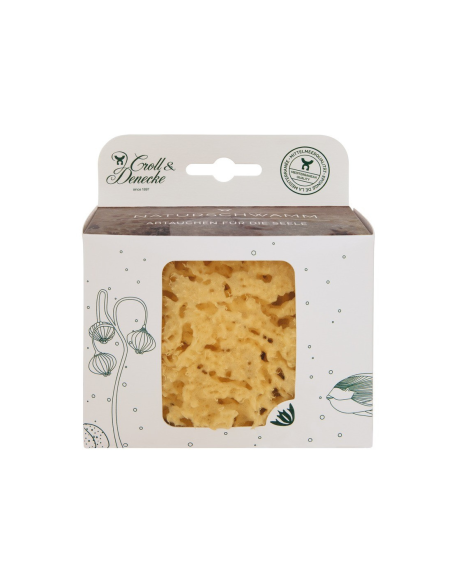 Esponja marina del Mediterráneo, 10-11cm de Croll&Denecke