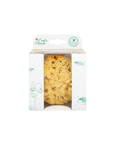 Esponja marina del Mediterráneo grande, 12cm de Croll&Denecke