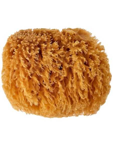 Esponjas menstruales naturales del Mediterráneo Croll & Denecke 2 uds de Croll&Denecke