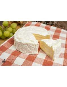 Queso Camembert: Sabor Cremoso y Tradición Francesa