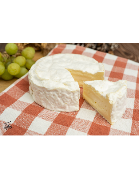 Queso camembert