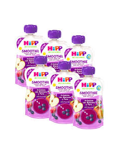 Pack 6 Smoothies Bio Arándanos, Manzana y Pera Hipp 120g