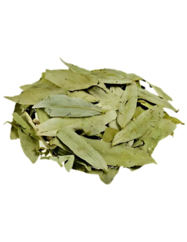 Sen Hojas 1 Kg de Pinisan