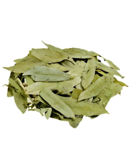 Sen Hojas 1 Kg de Pinisan