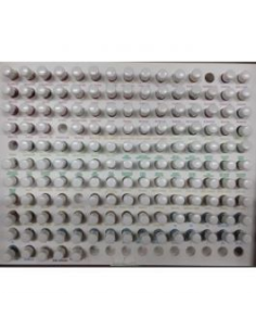 Kit Kinesiológico Terpenic – Terapia Natural y Efectiva