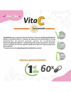 Vitamina C liposomadas, 60 Cápsulas de Pinisan 2