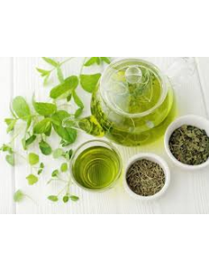 Té Negro Farma 12 Pirámides Bote  Energía y Sabor Natural