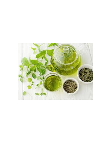 Te Buenas Noches Bote 12 Piram. de Farma Te