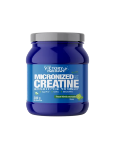 Victory Endurance Creatina 200 Mesh Astragin Mint-Lemonade