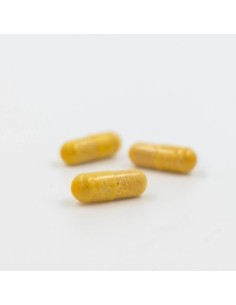 Acnavance 60 Cápsulas de Inovance** 2