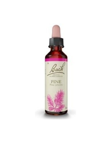 Flores Bach Pine Pino Silvestre 20Ml. de Flores Bach Original
