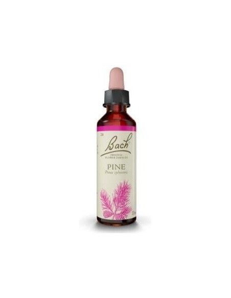 Flores Bach Pine Pino Silvestre 20Ml. de Flores Bach Origina