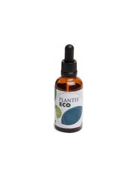 Ext.Brusco (Ruscus) 50Ml Maese Herbario de Artesania